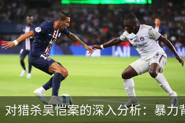 对猎杀吴恺案的深入分析：暴力背后的伦理思考